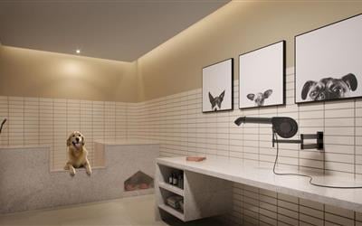 Perspectiva ilustrada do pet shower